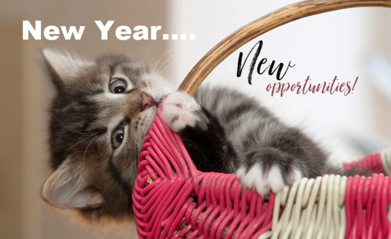 A gray tabby kitten bites the handle of a pink and beige basket. Text on image reads: "New Year... New opportunities!.