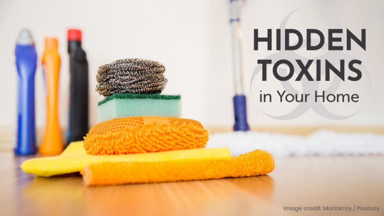 Cleaning supplies, sponges, and scrubbers are arranged on a wooden floor with the text “Hidden Toxins in Your Home” on the right.
