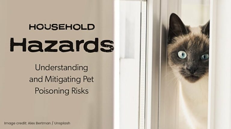 Household Hazards: Understanding and Mitigating Pet Poisoning Risks ...