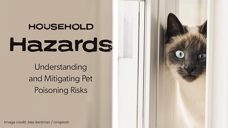 A Siamese cat peers through a window beside text about household hazards and pet poisoning risks.