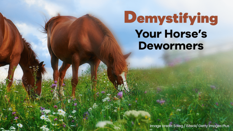 Two horses graze in a green, flower-filled field with the text "Demystifying Your Horse’s Dewormers" overlaid on the image.