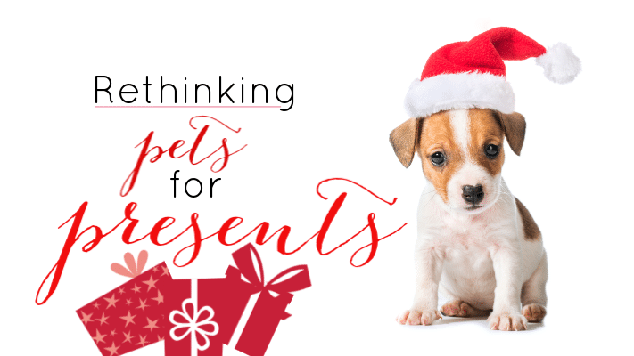 A small puppy wearing a Santa hat sits beside two gift boxes. Text reads: “Rethinking pets for presents.”.