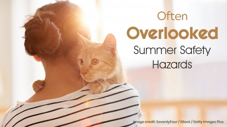 A person with brown hair in a bun holds an orange cat on their shoulder. Text reads: "Often Overlooked Summer Safety Hazards.